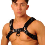 Leather Chest Harness Black